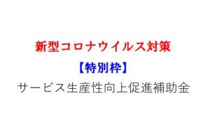 【特別枠】サービス生産性向上促進補助金